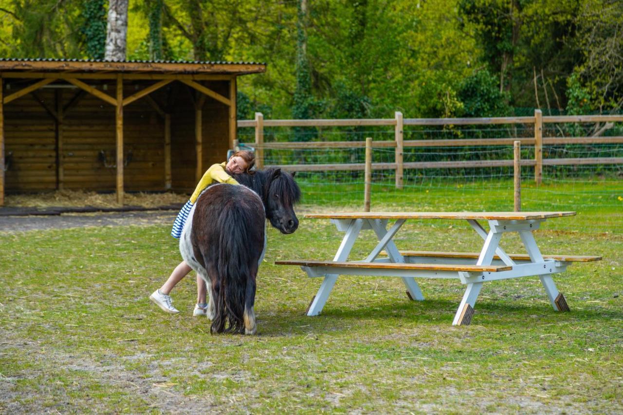 Europarcs Hoge Kempen Zutendaal Exteriér fotografie
