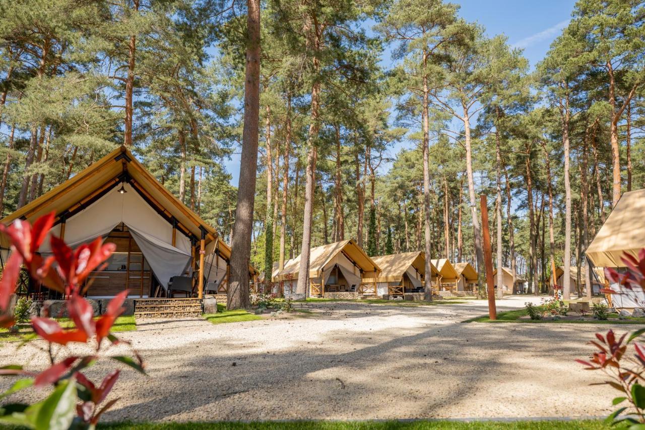 Europarcs Hoge Kempen Zutendaal Pokoj fotografie