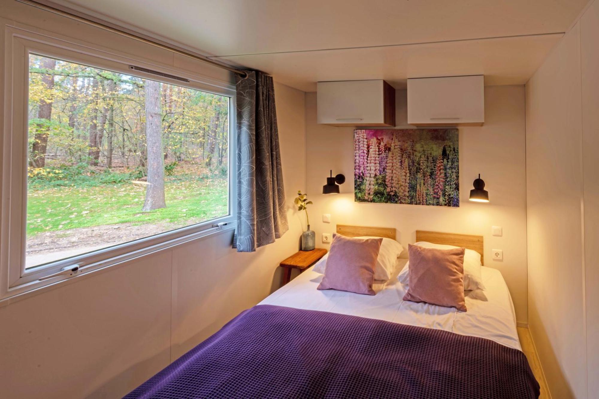 Europarcs Hoge Kempen Zutendaal Pokoj fotografie